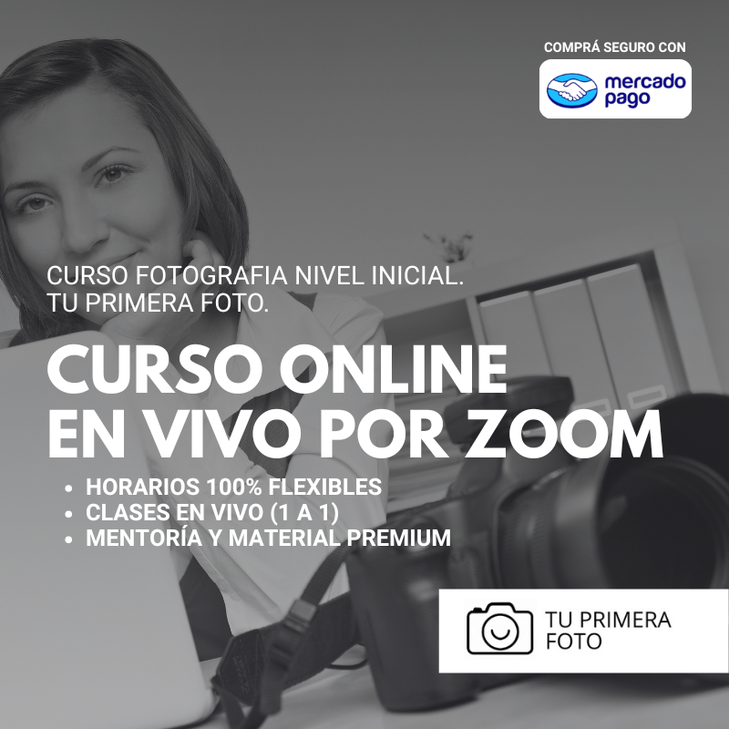 CURSO EN VIVO ON LINE POR ZOOM