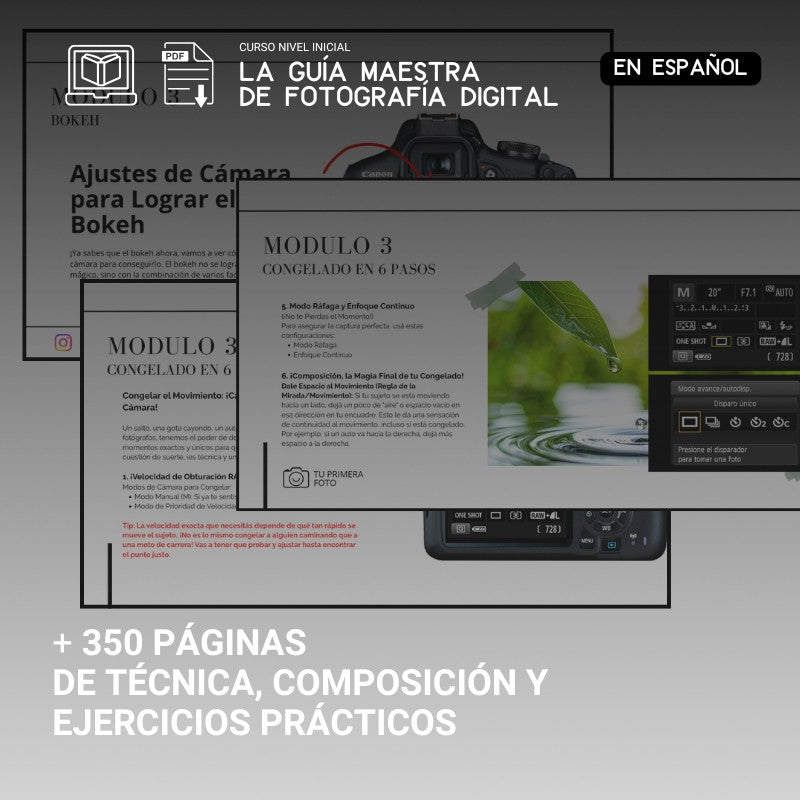 Guia practica en pdf
